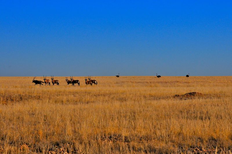 Namibia